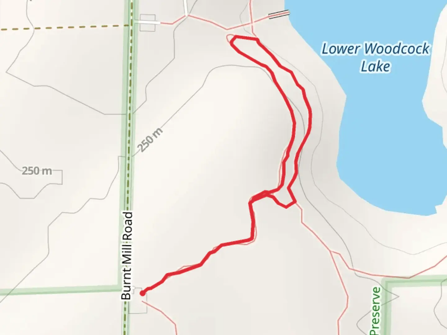 An image depicting the trail Lower Woodcock Lake Nature Preserve Loop and its surrounding area.