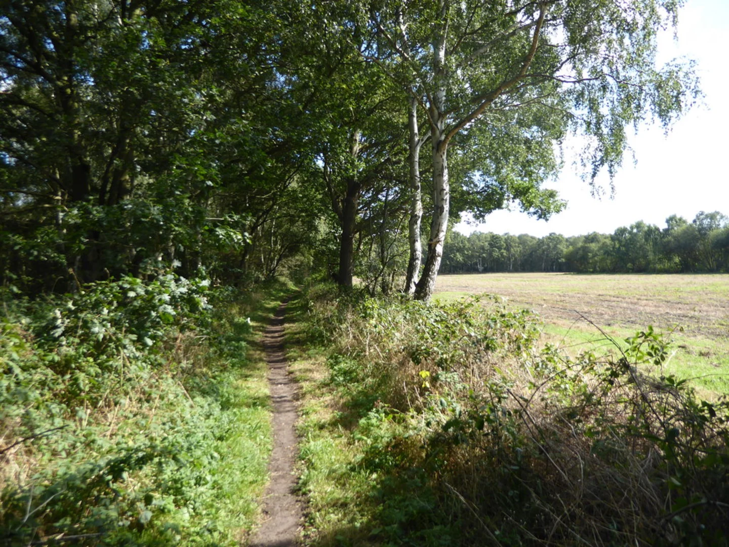 An image depicting the trail Haxey - Westwoodside and the Turbary and its surrounding area.