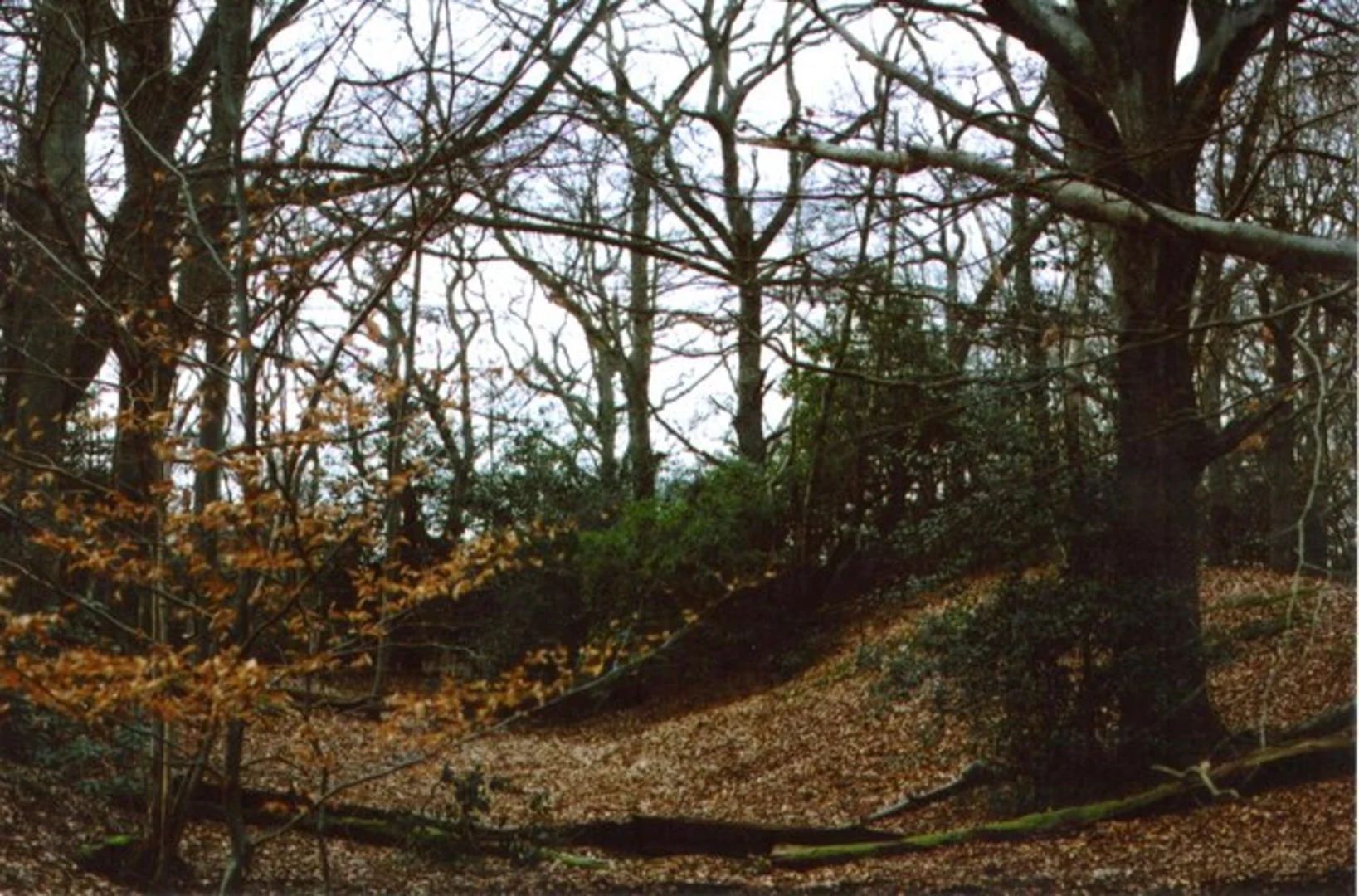 An image depicting the trail Thatcham, Bucklebury and Greenham Loop and its surrounding area.