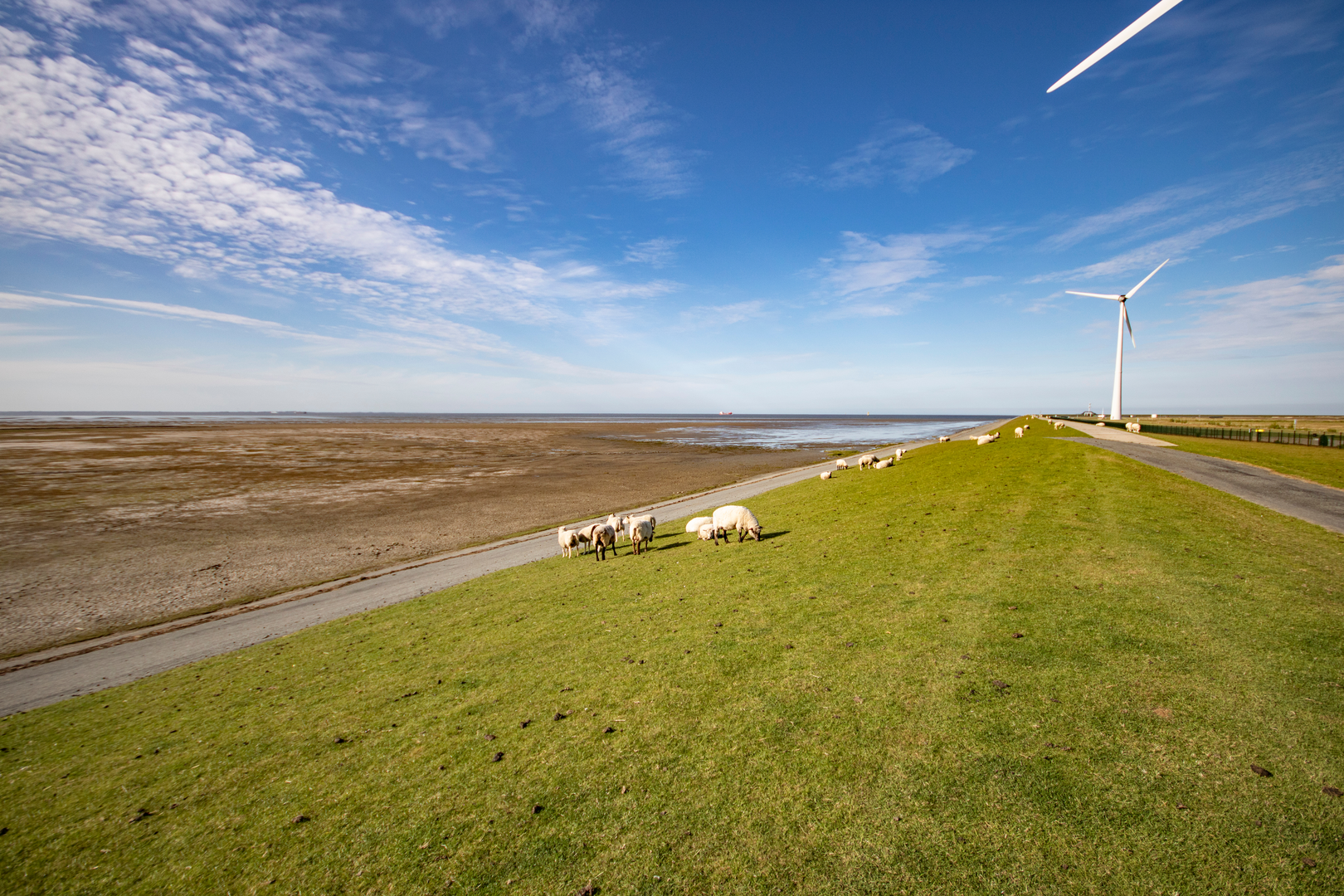 An image depicting the trail Poort van Groningen to Delfzijl via Dollard and its surrounding area.