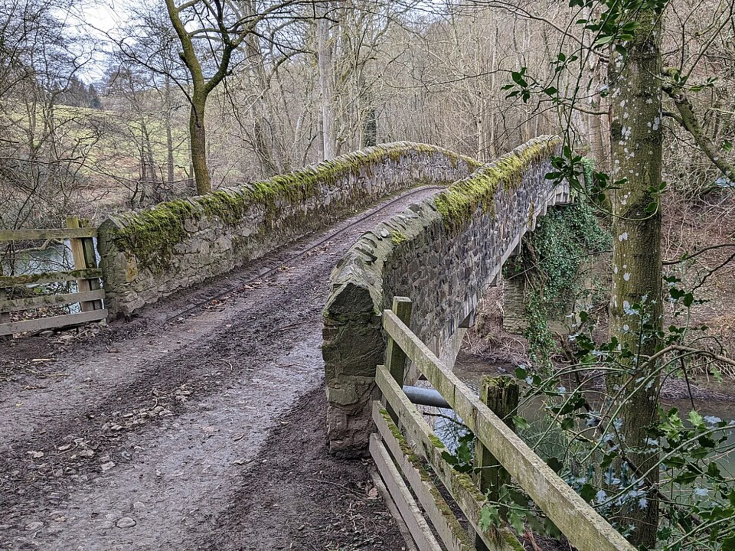 An image depicting the trail Yalding to Nettlestead Loop and its surrounding area.