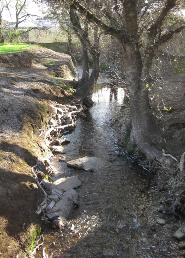 An image depicting the trail Wirraparinga Loop Walk and its surrounding area.