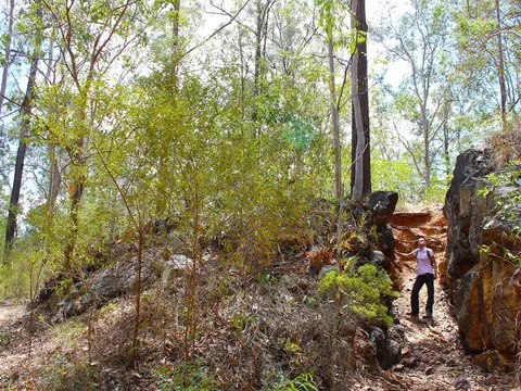 Golden Boulder Track