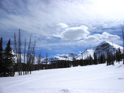 An image depicting the trail Sheep Creek Basin Trail and its surrounding area.