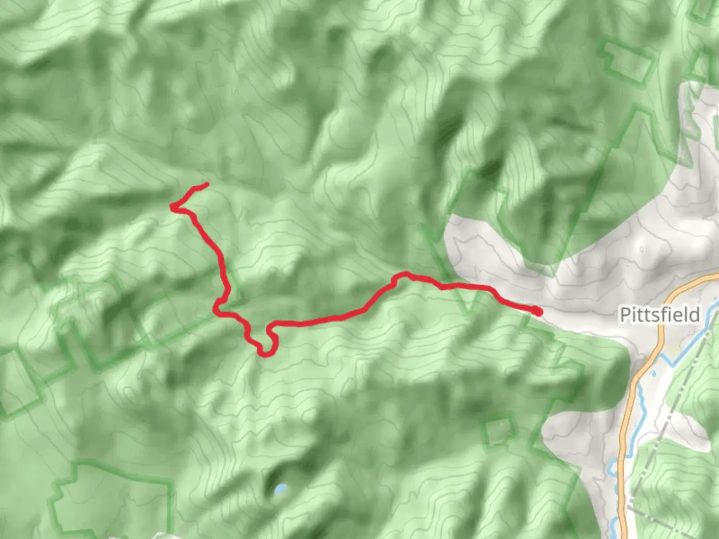 An image depicting the trail Caryl Brook Trail and its surrounding area.