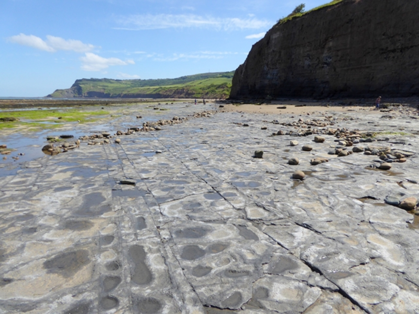 An image depicting the trail Cleveland Way from Cloughton to Robin Hood's Bay and its surrounding area.