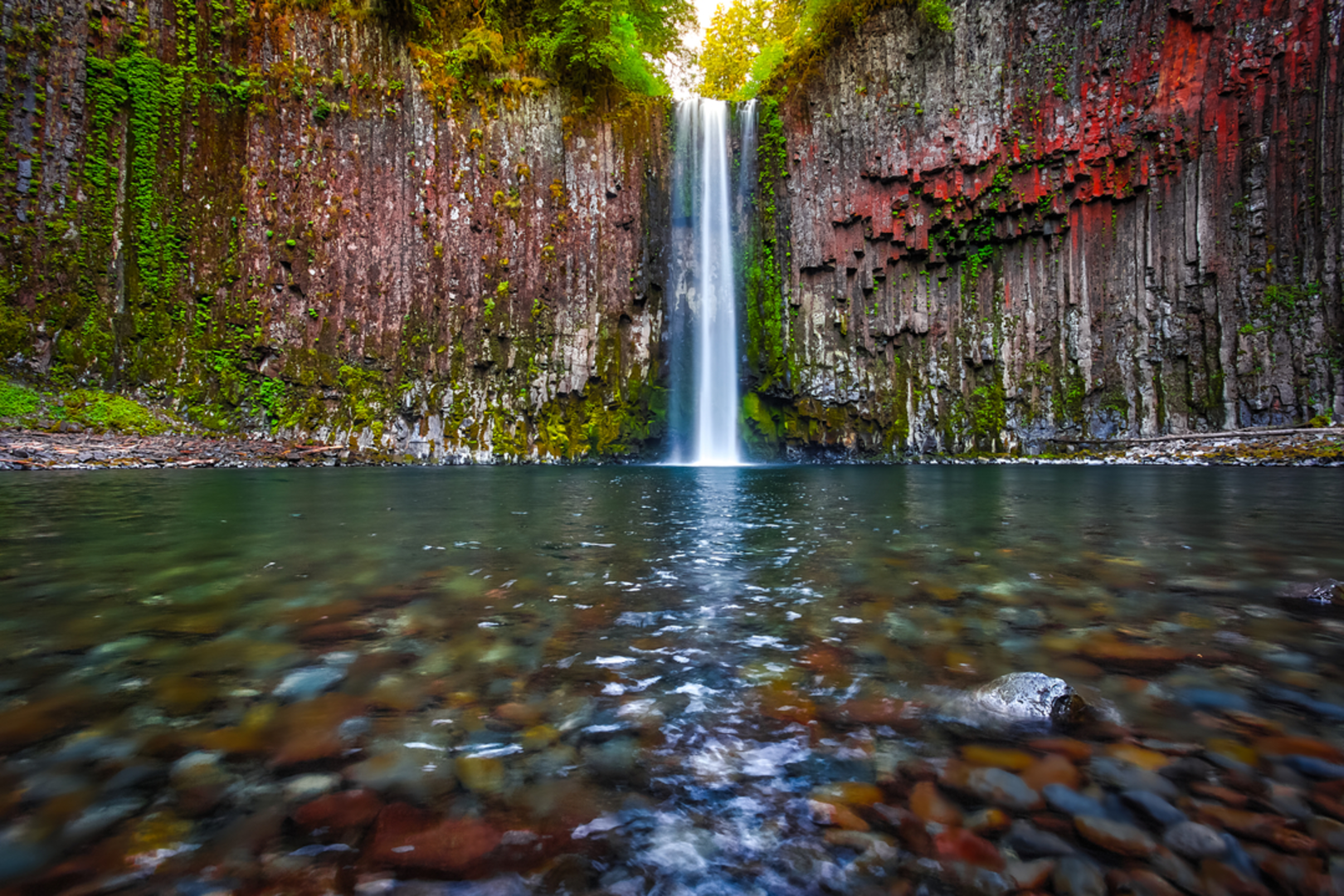 An image depicting the trail Abiqua Falls Trail and its surrounding area.