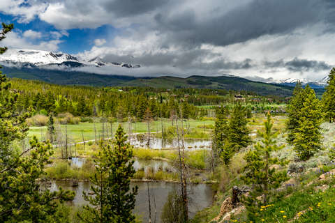 An image depicting the trail Bookcase Trail and its surrounding area.