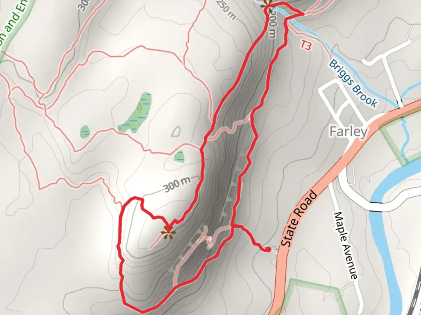 An image depicting the trail Rattlesnake Mountain via Red Trail and Farley Ledge Loop and its surrounding area.