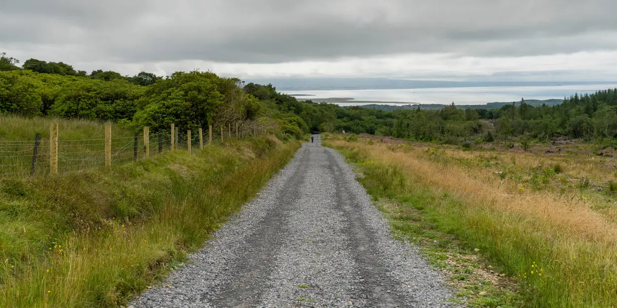 Grange - Grange Loop