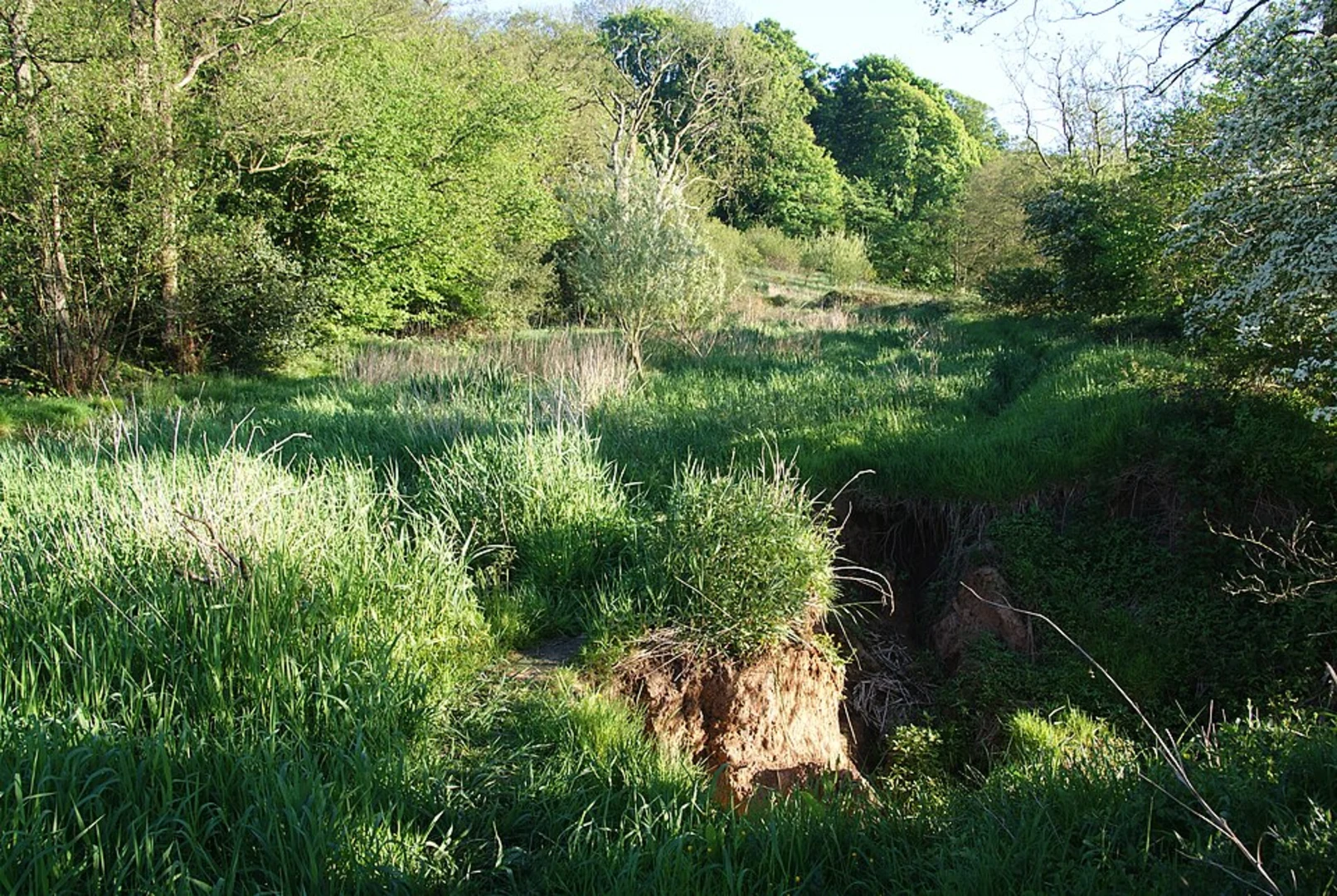 An image depicting the trail Clayton Le Dale, River Ribble and Balderstone Loop and its surrounding area.