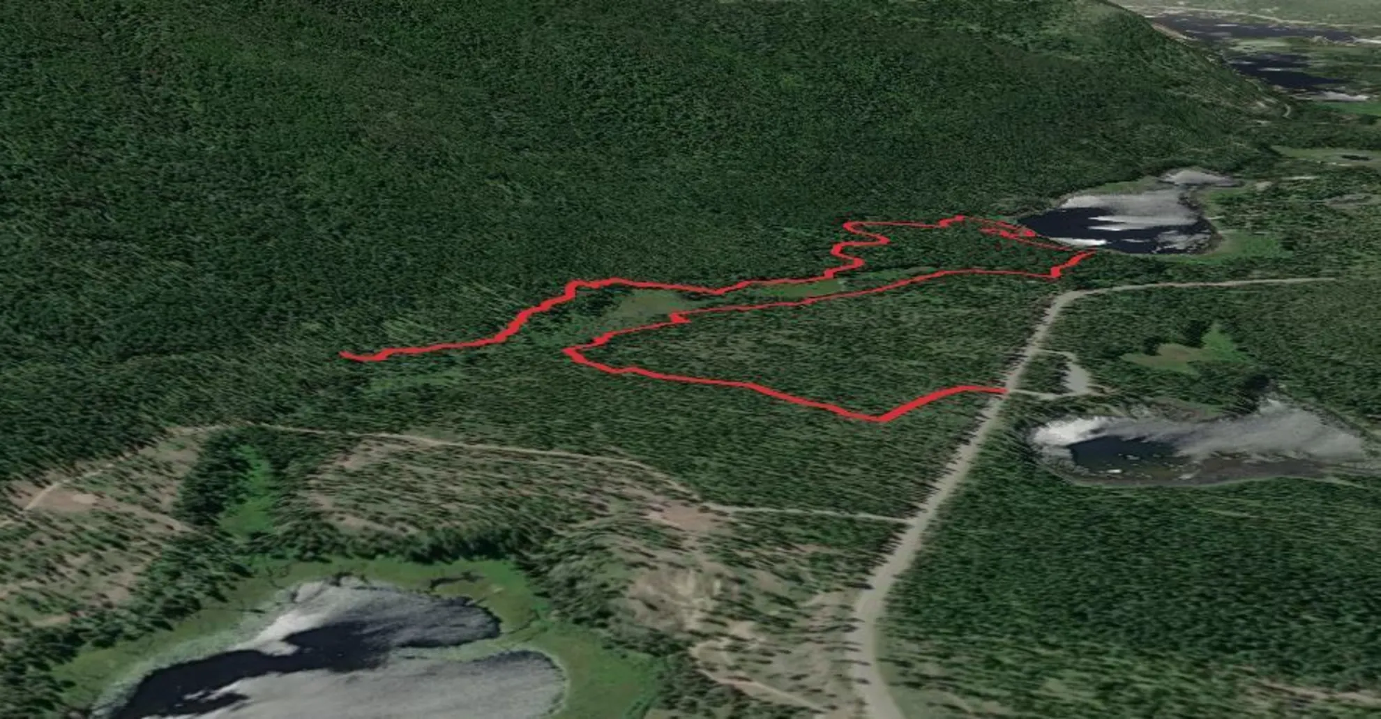 An image depicting the trail Lake Leo Trail and its surrounding area.