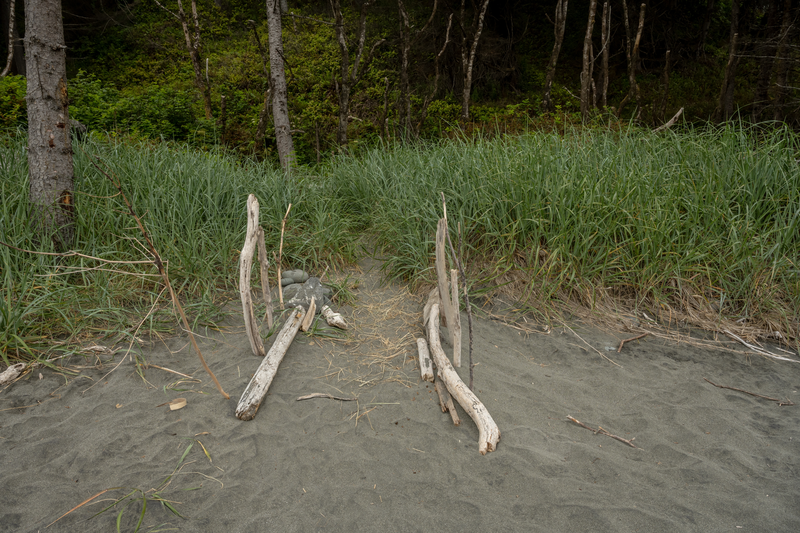 An image depicting the trail Carruthers Cove Trail and its surrounding area.