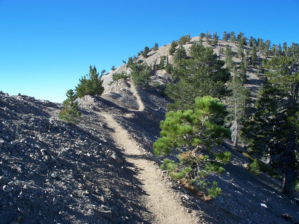 Islip Saddle to Vincent Gap via PCT