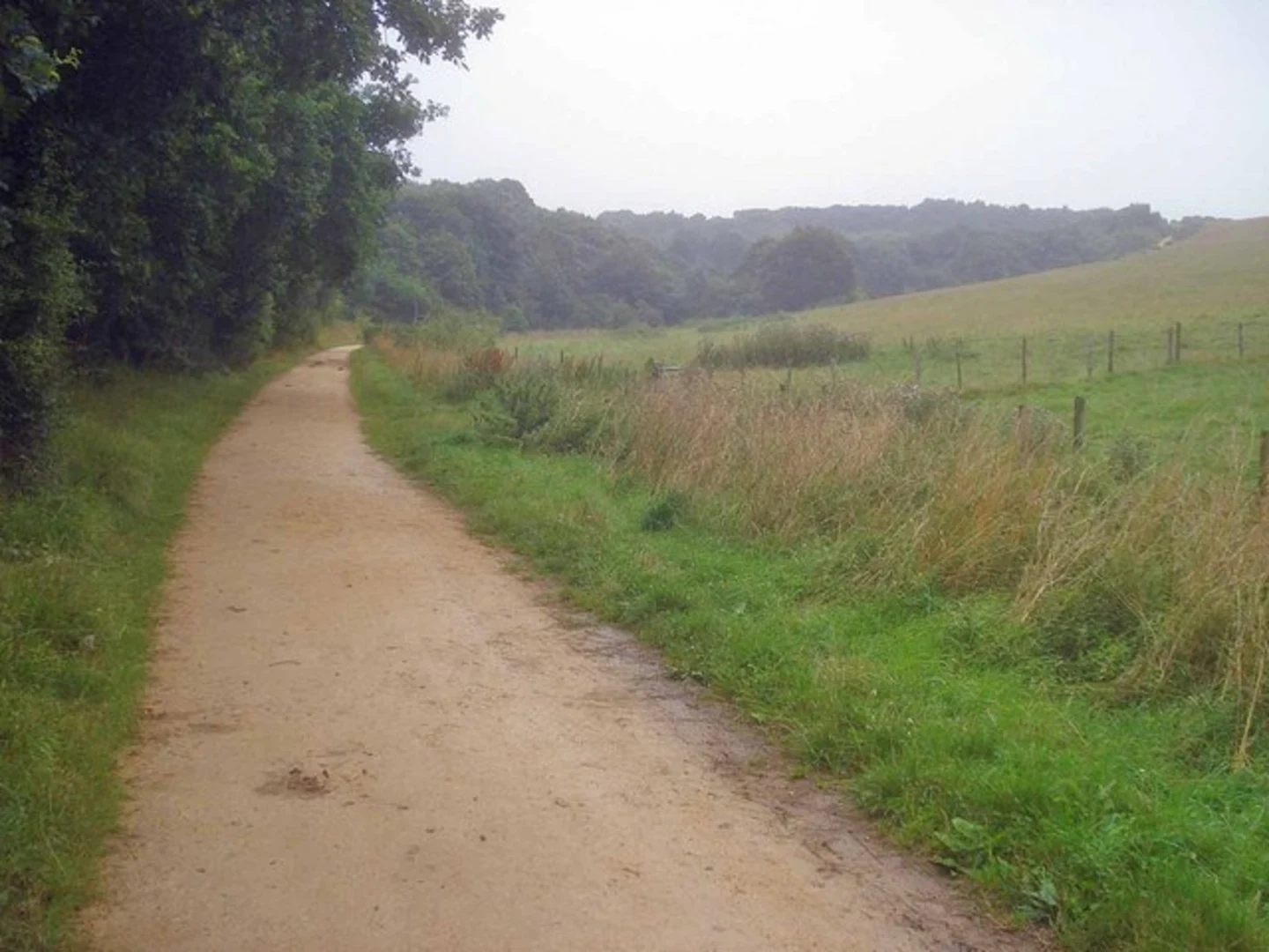 An image depicting the trail Bestwood Country Park Short Loop and its surrounding area.