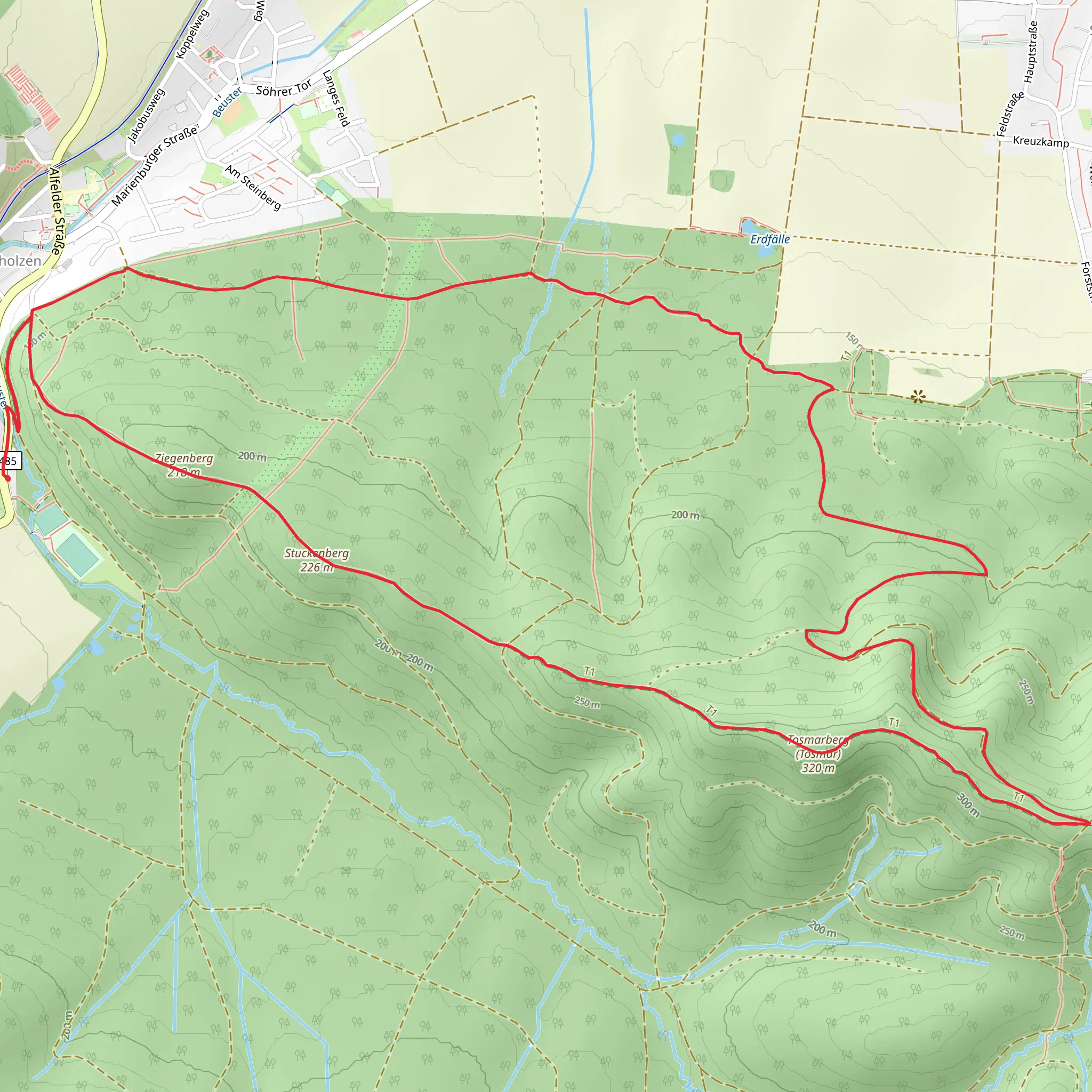 Ziegenberg and Tosmarberg Loop - Diekholzen mobile static map