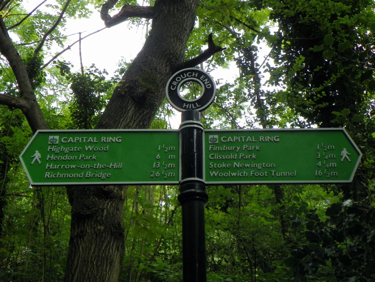An image depicting the trail Parkland Walk and its surrounding area.