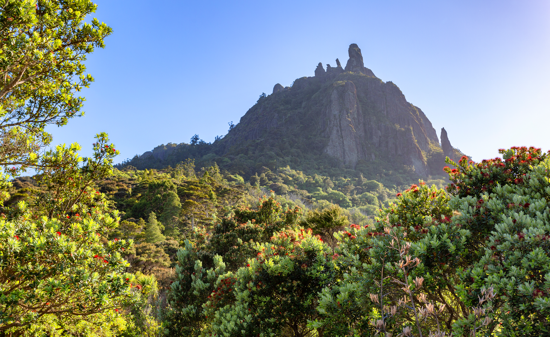 An image depicting the trail Mount Manaia Track and its surrounding area.