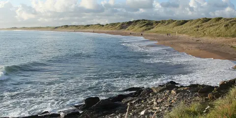 An image depicting the trail Kilmore Quay - Ballyteige Burrow Trail and its surrounding area.