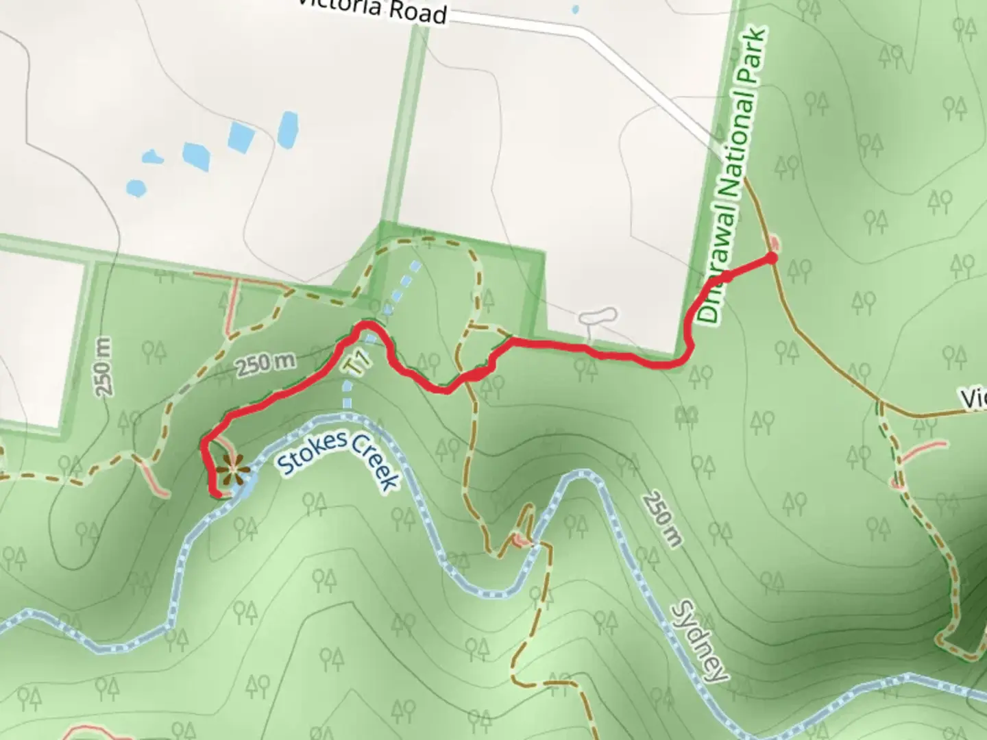 An image depicting the trail Minerva Pool Track and its surrounding area.