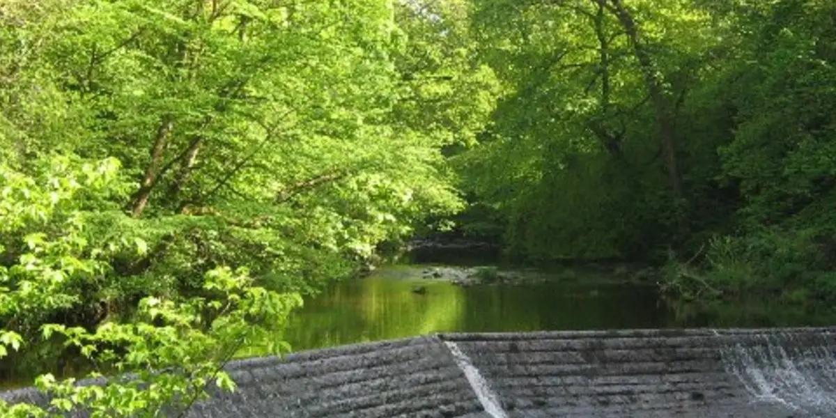 Colinton and Craiglockhart Dells - Slateford