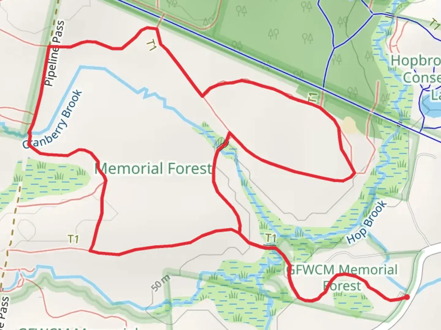 An image depicting the trail Hop Brook and Cranberry Brook Loop and its surrounding area.