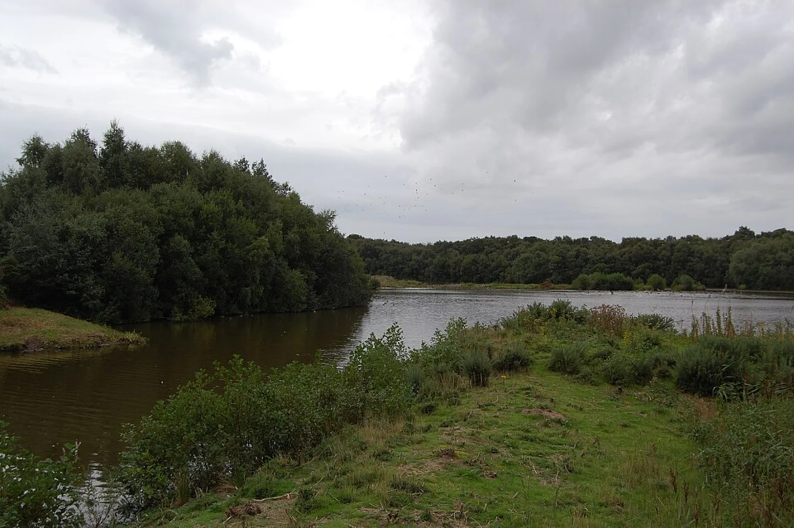 An image depicting the trail Mere Sands Wood Nature Reserve Loop and its surrounding area.