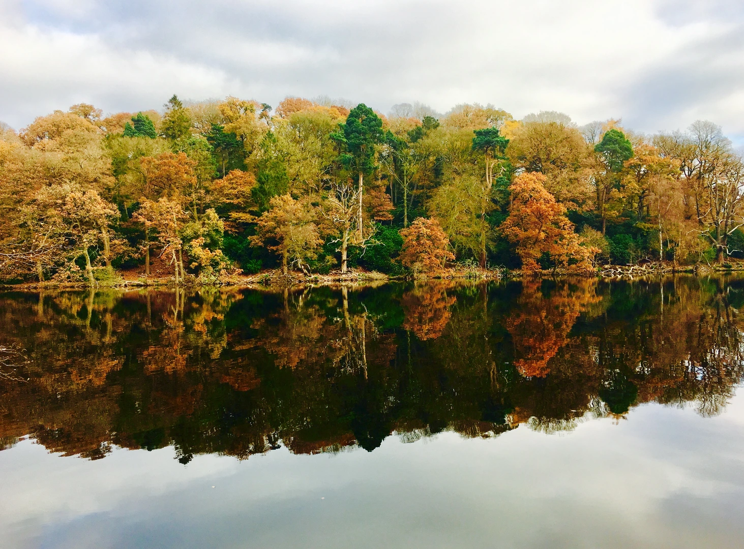 An image depicting the trail Delamere Way and its surrounding area.