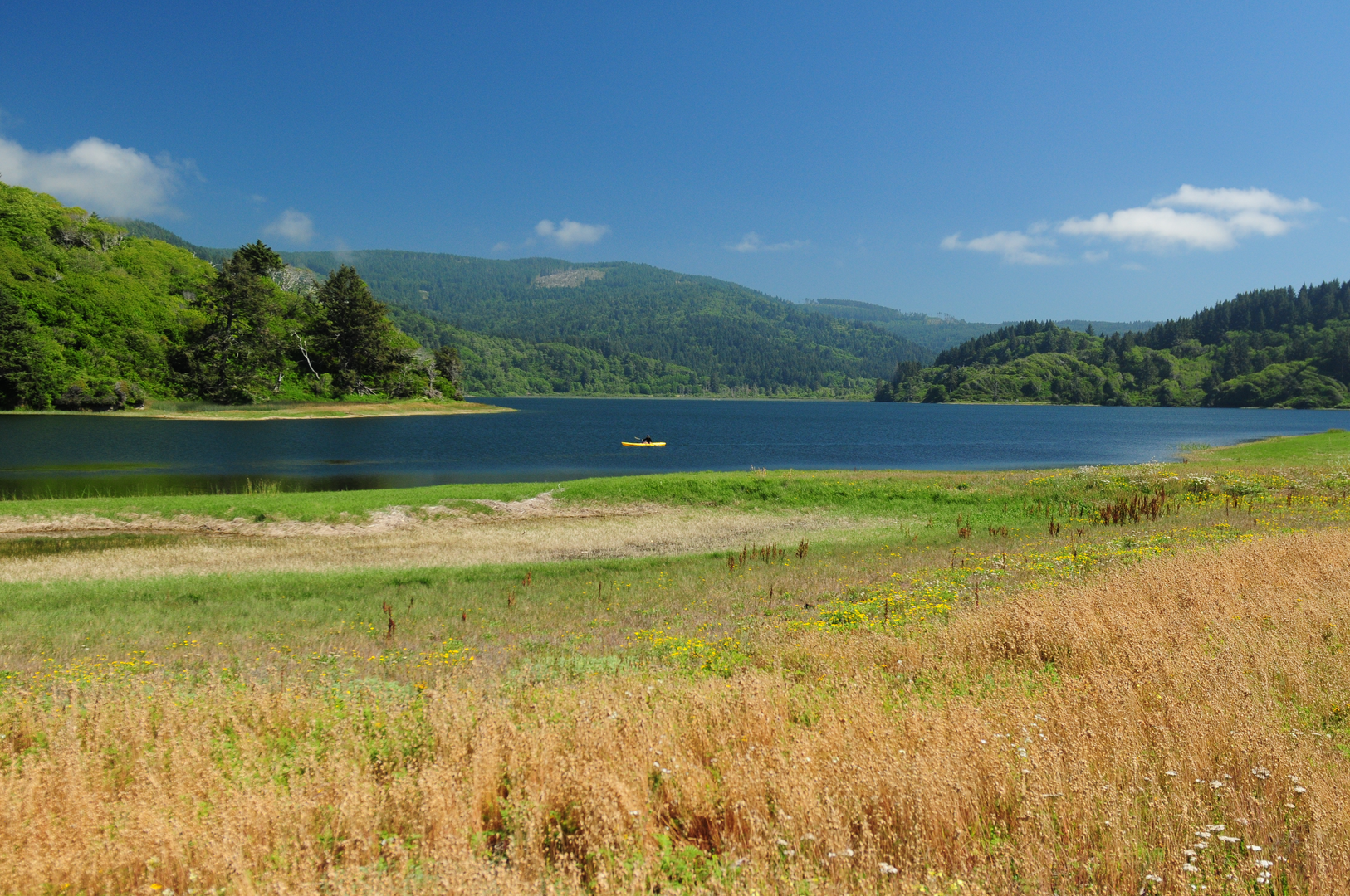 An image depicting the trail California Coastal Trail - Stone Lagoon and its surrounding area.