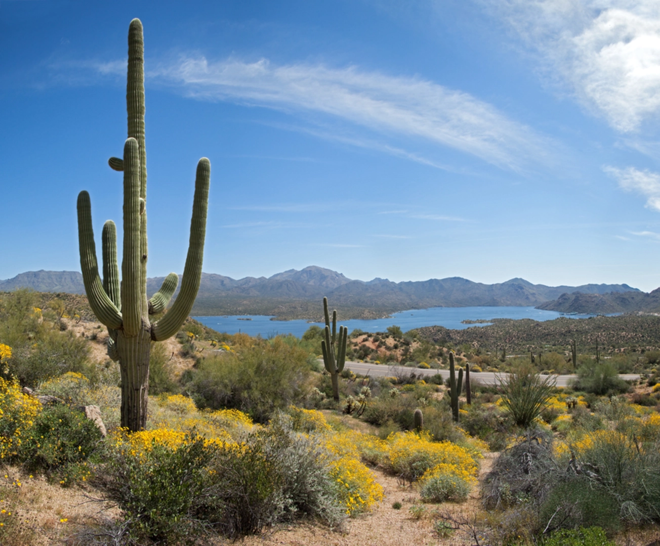 An image depicting the trail Palo Verde Trail and its surrounding area.
