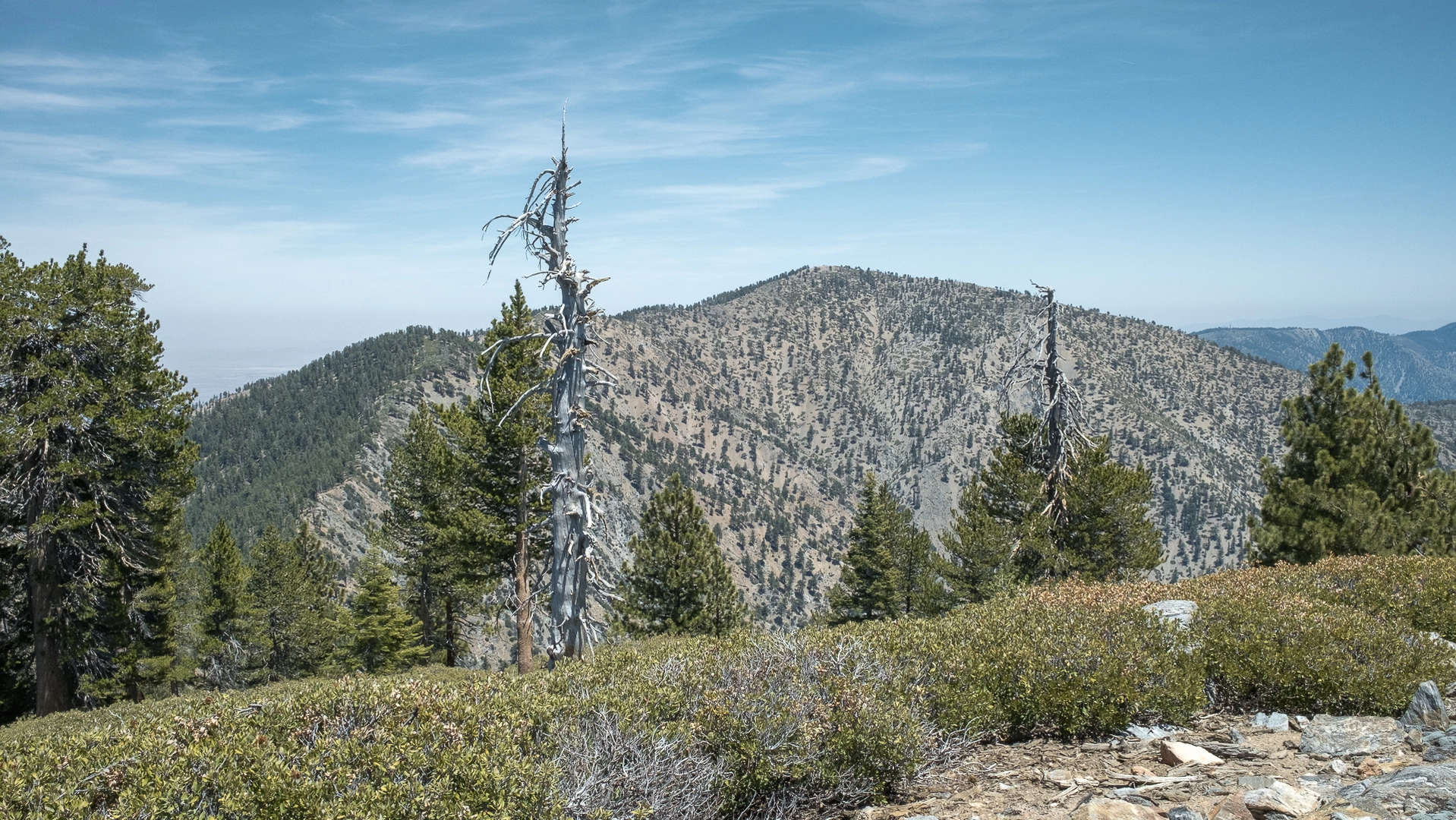An image depicting the trail Mount Burnham and Mount Baden-Powell via Silver Moccasin Trail and its surrounding area.