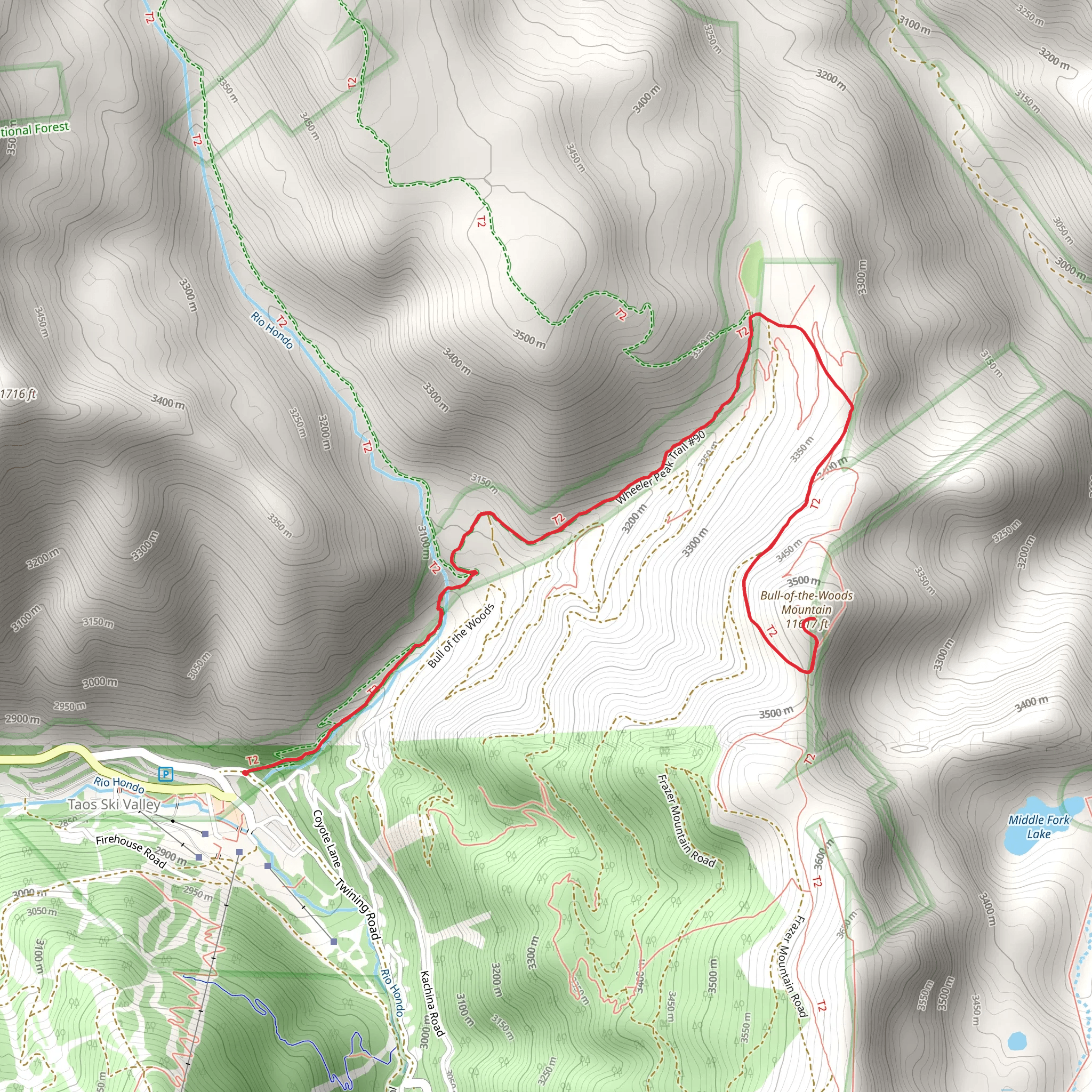 Bull of the Woods Mountain via Wheeler Peak Trail mobile static map