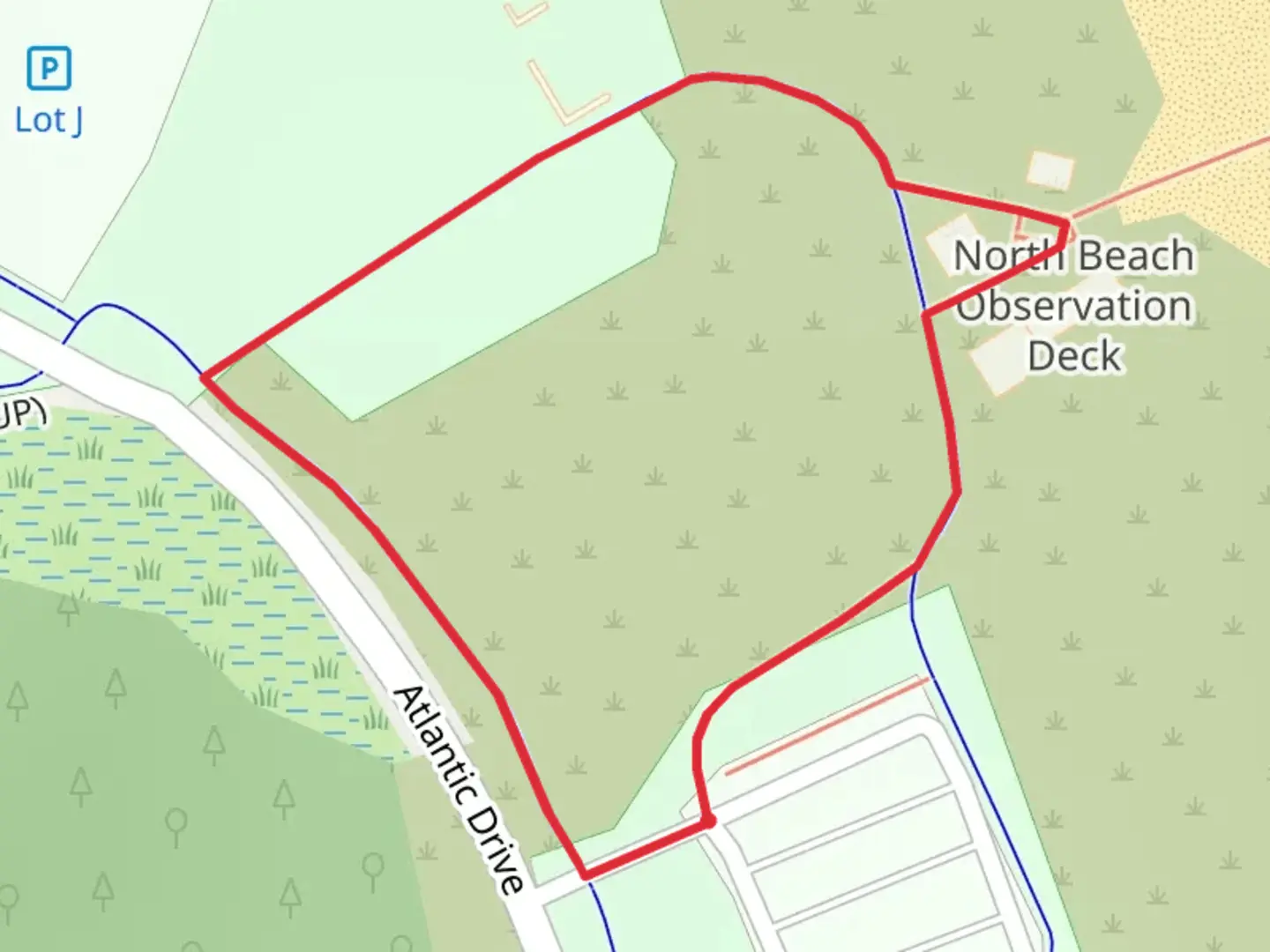 An image depicting the trail Atlantic Drive Loop and its surrounding area.