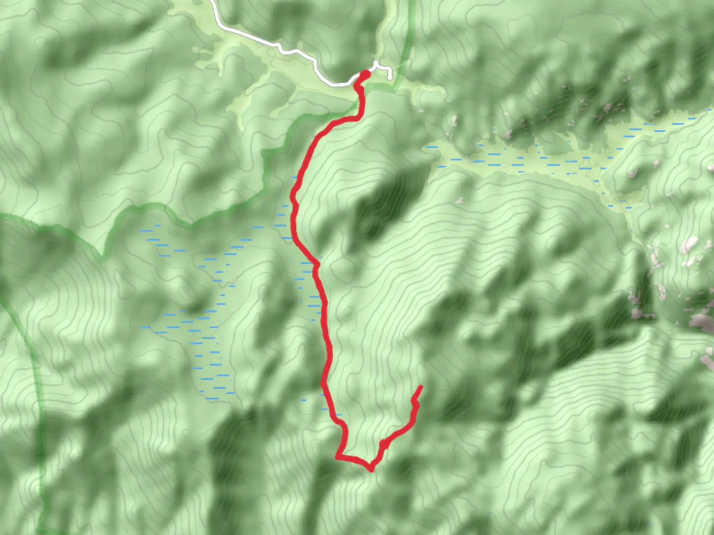 An image depicting the trail Bismon Mountain via Brookside-McCurdy and its surrounding area.