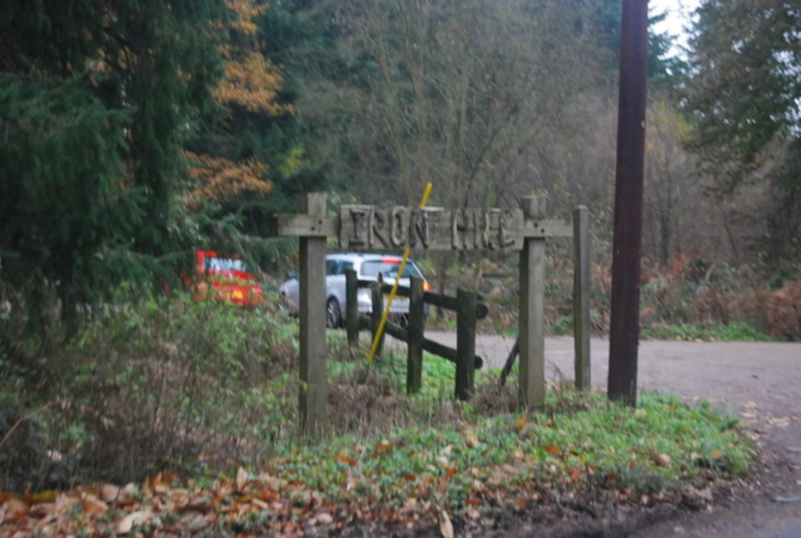 An image depicting the trail Denny Inclosure, Ladycross Inclosure and Hollands Wood Loop and its surrounding area.