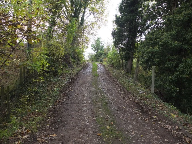 Hare Hill and Alder Wood