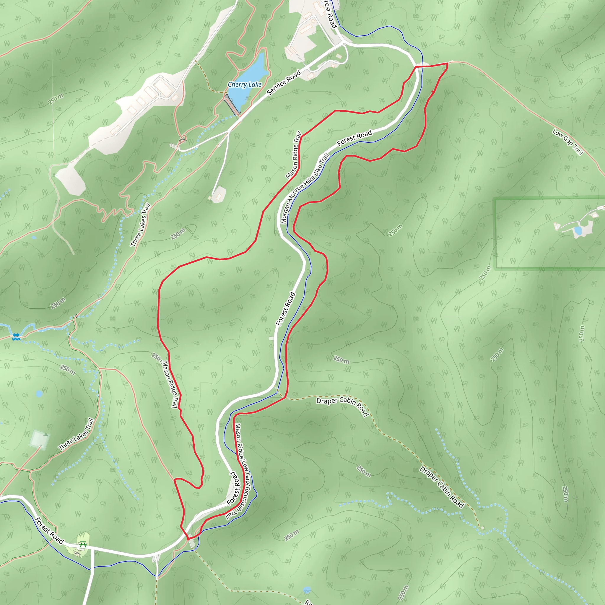 Mason Ridge and Low Gap Loop Trail mobile static map
