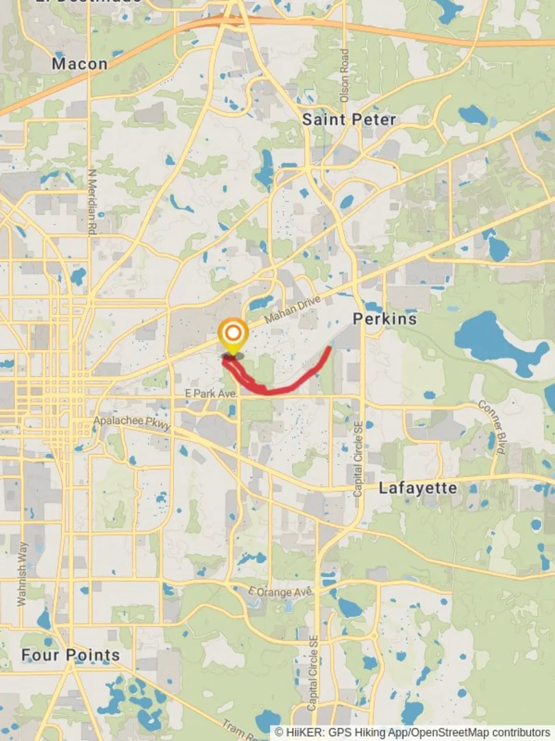 An image depicting the trail Fern Trail and its surrounding area.