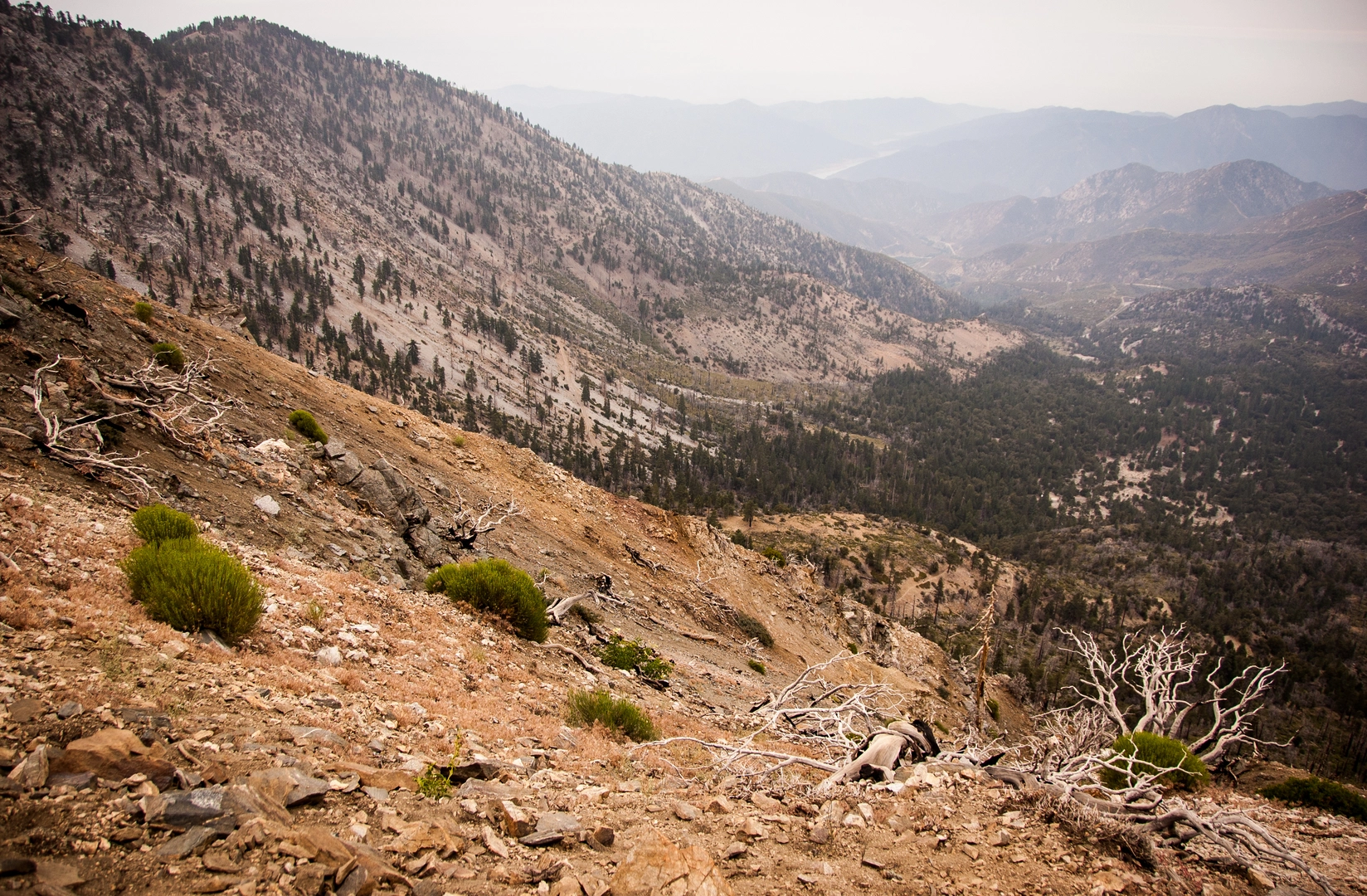 An image depicting the trail Windy Gap, Mount Hawkins, South Mount Hawkins Loop and its surrounding area.
