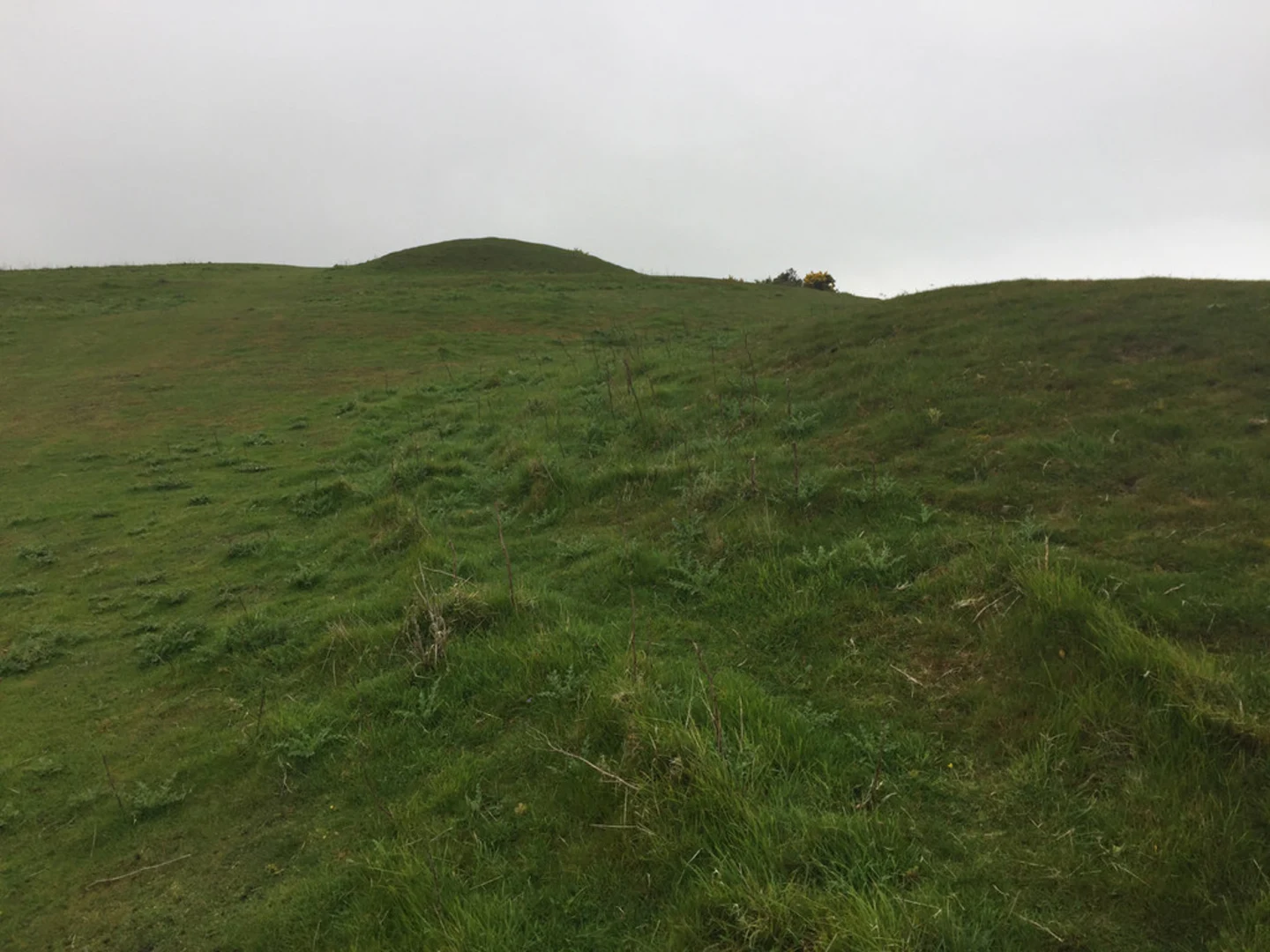An image depicting the trail Tulk's Hill via South Dorser Ridgeway and Burton Road and its surrounding area.