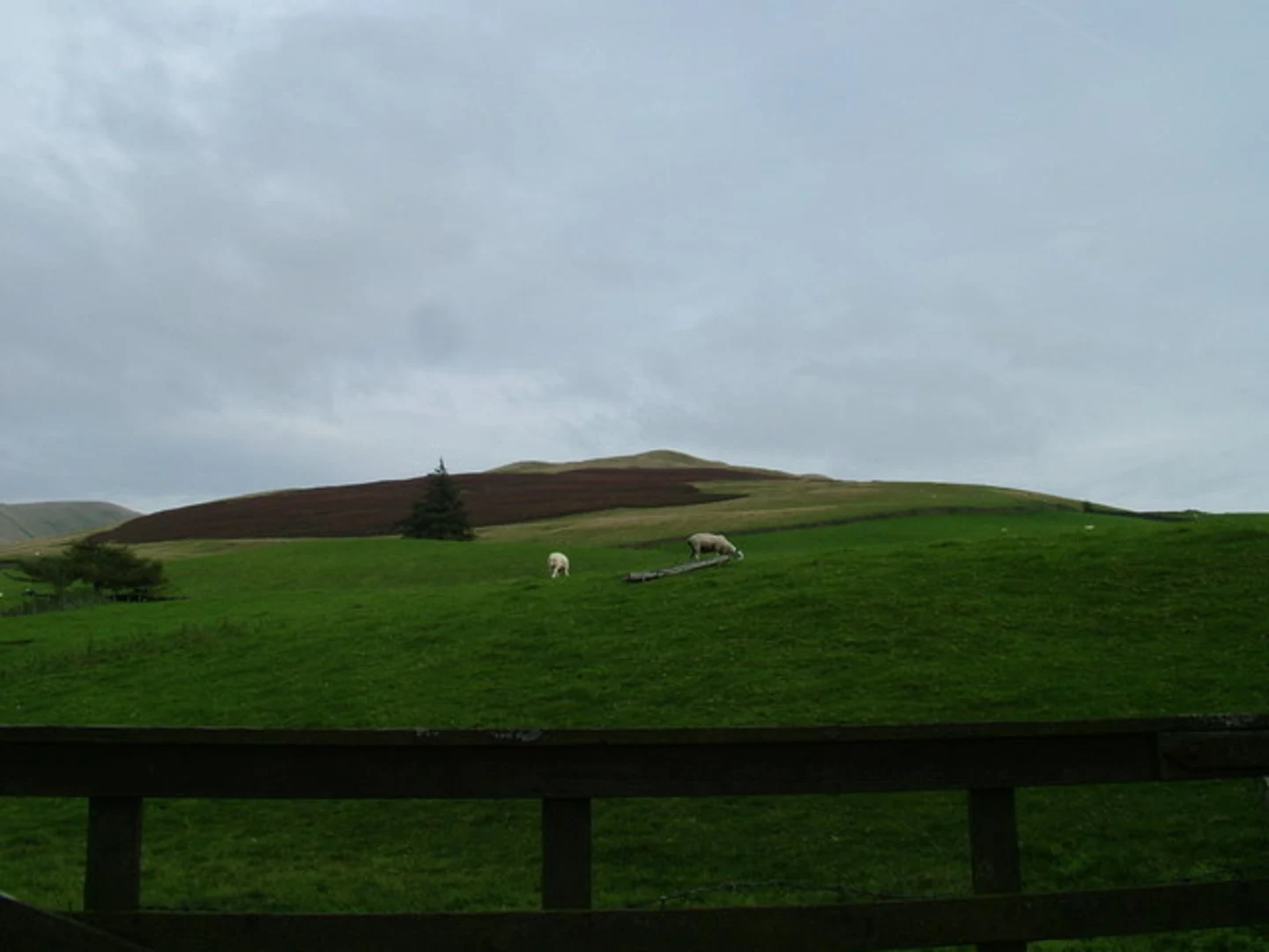 An image depicting the trail Winder Loop and its surrounding area.