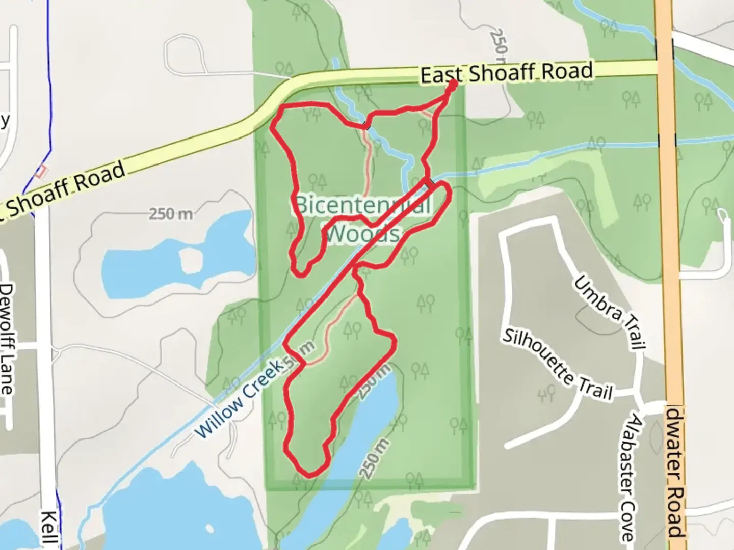 An image depicting the trail Willow Creek Loop and its surrounding area.