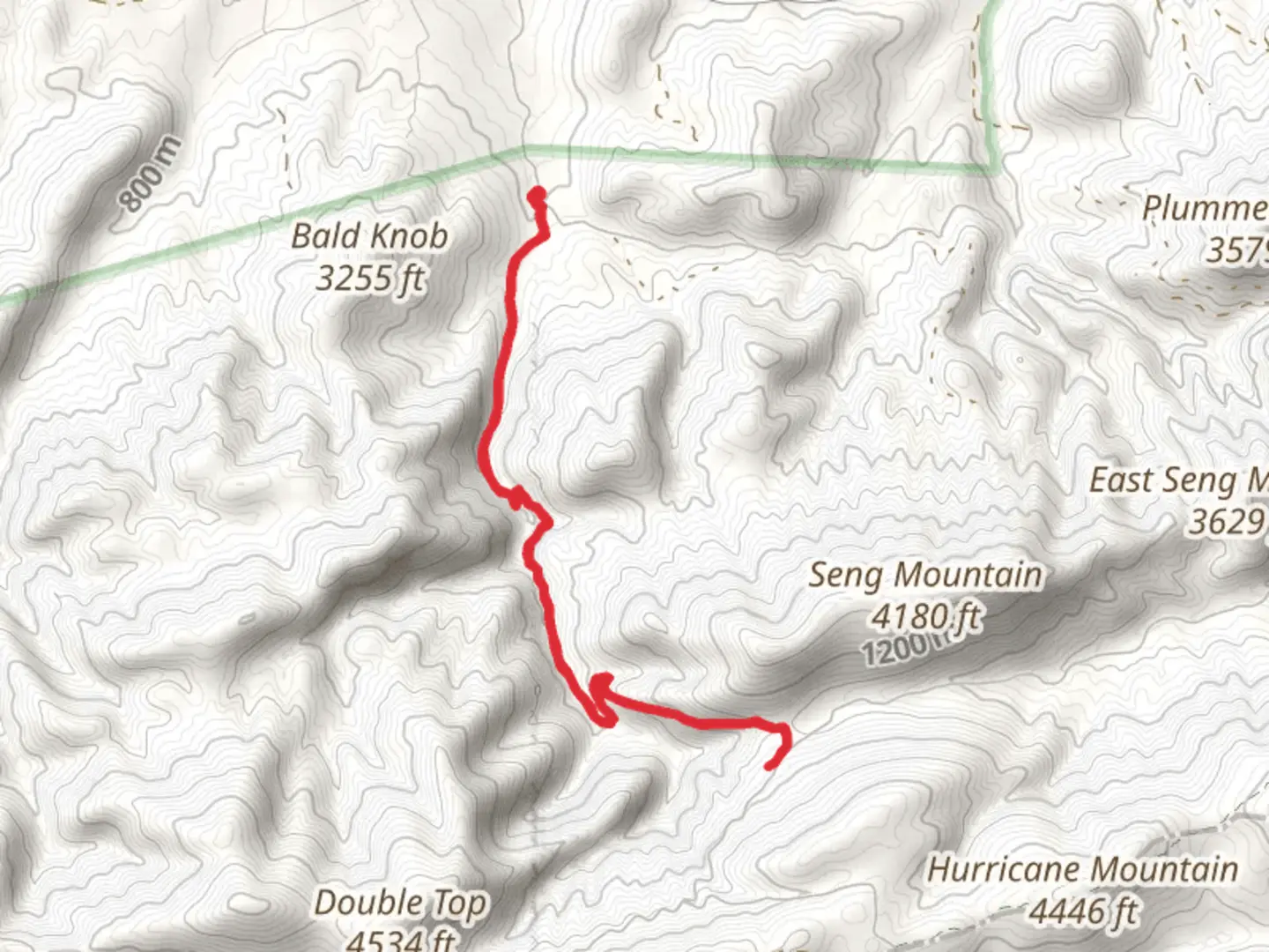 An image depicting the trail Rowlands Creek Trail and its surrounding area.