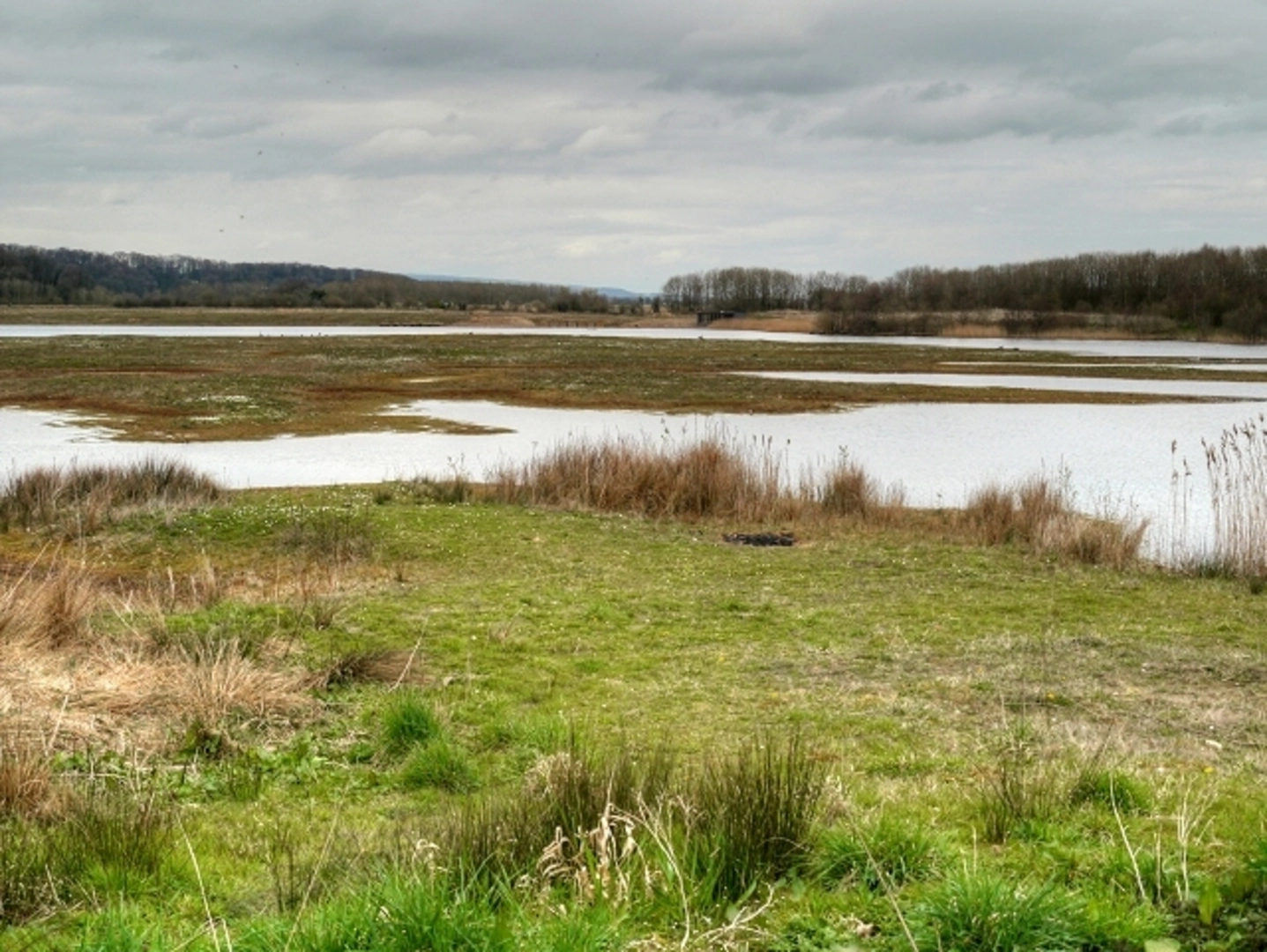 An image depicting the trail Brockholes Nature Reserve Loop and its surrounding area.