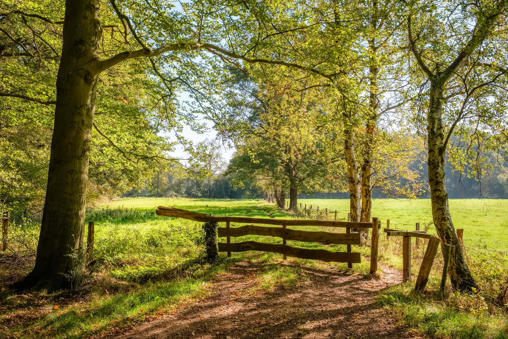 An image depicting the trail Oldenzaalstsestraat, Kalheupinkpark and Lonnekerberg Loop and its surrounding area.