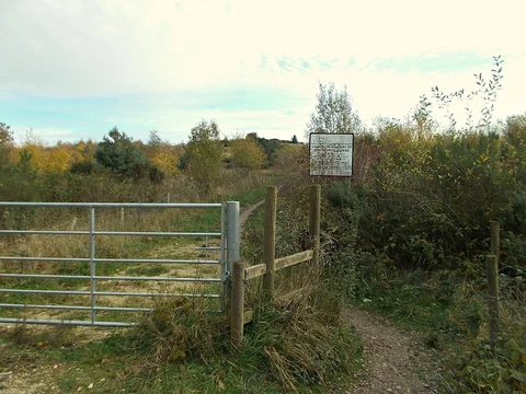 An image depicting the trail Calverton Colliery Loop and its surrounding area.
