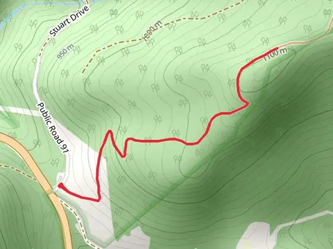 Shavers Mountain Trail Out and Back