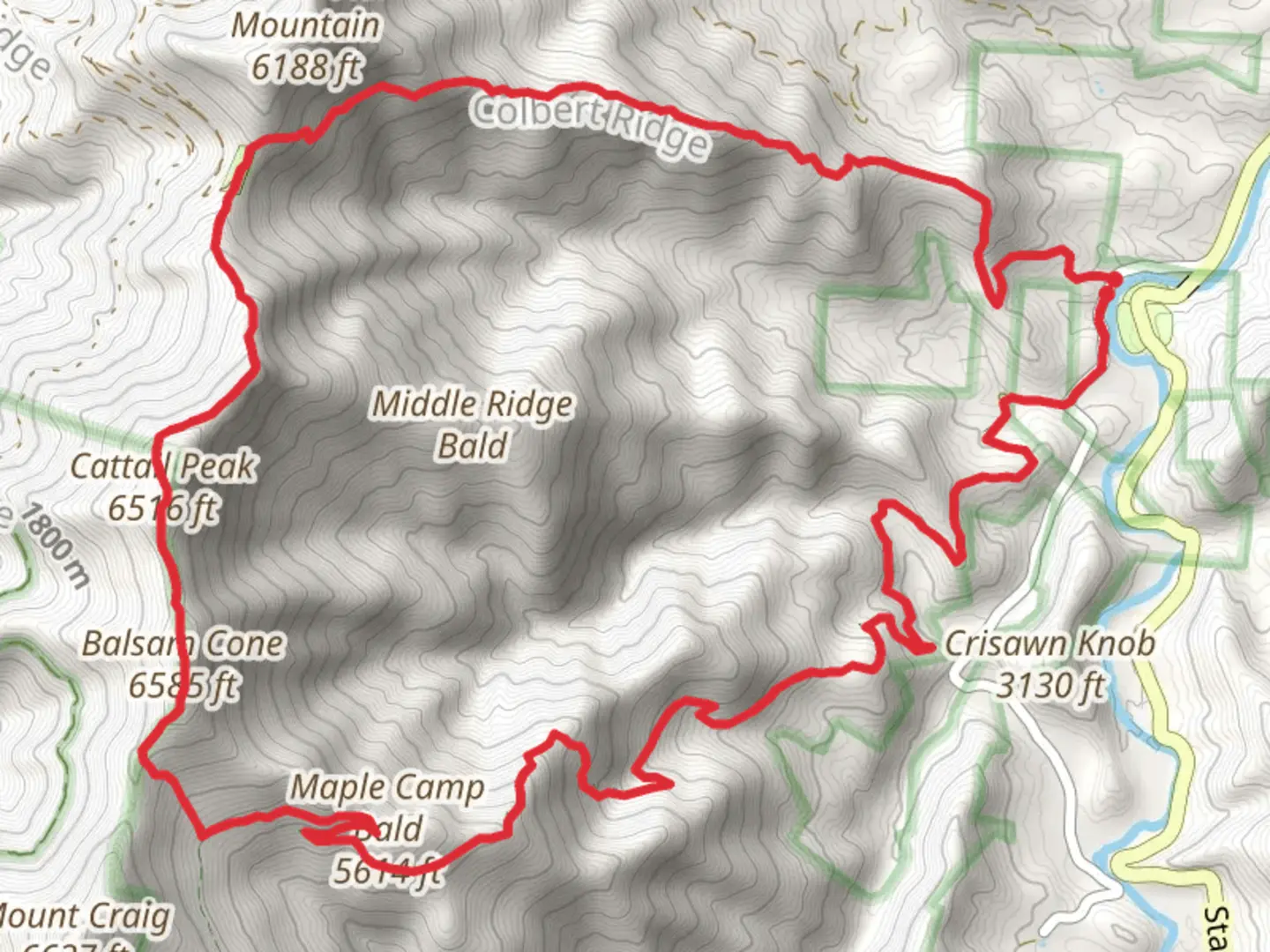 An image depicting the trail Colbert Ridge, Deep Gap, Cattail Peak and Buncombe Horse Loop Trail and its surrounding area.