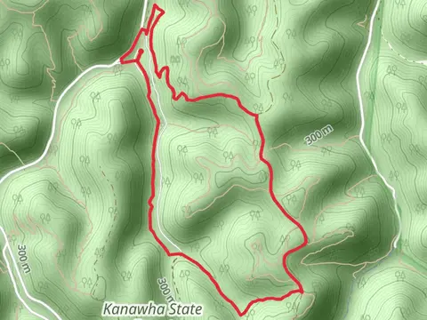 Teaberry Rock - Middle Ridge - Mossy Rock Loop Trail