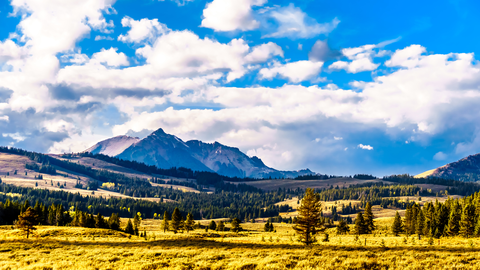 An image depicting the trail Electric Peak - Southeast Ridge via Glen Creek Trail and its surrounding area.